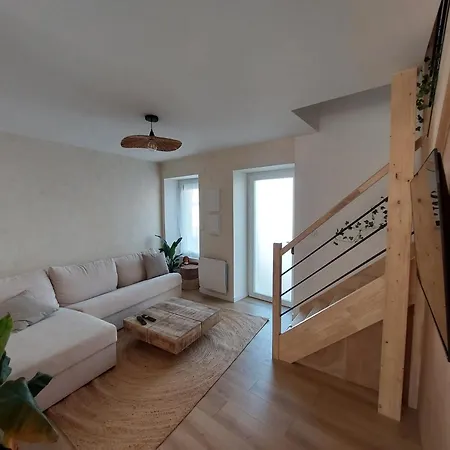 La Tropi'kaz - Jungle * Port-Saint-Père